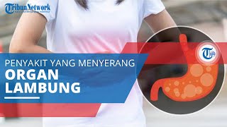 Sakit Maag, Penyakit yang Menyerang Anggota Tubuh Bagian Lambung