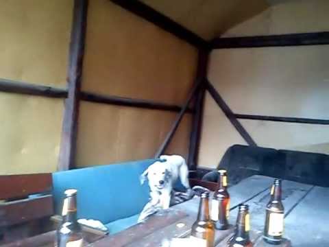 Takie tam z kocykiem 