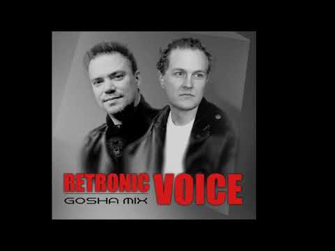 Retronic Voice - Discohunted