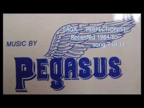 PEGASUS - SAGA - PERFECTIONIST.