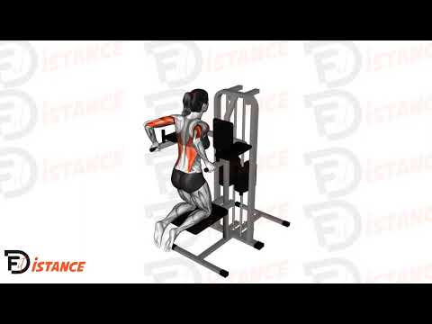 Dips à la machine assistés à genoux - Exercice Dips à la machine assistés à genoux en vidéo