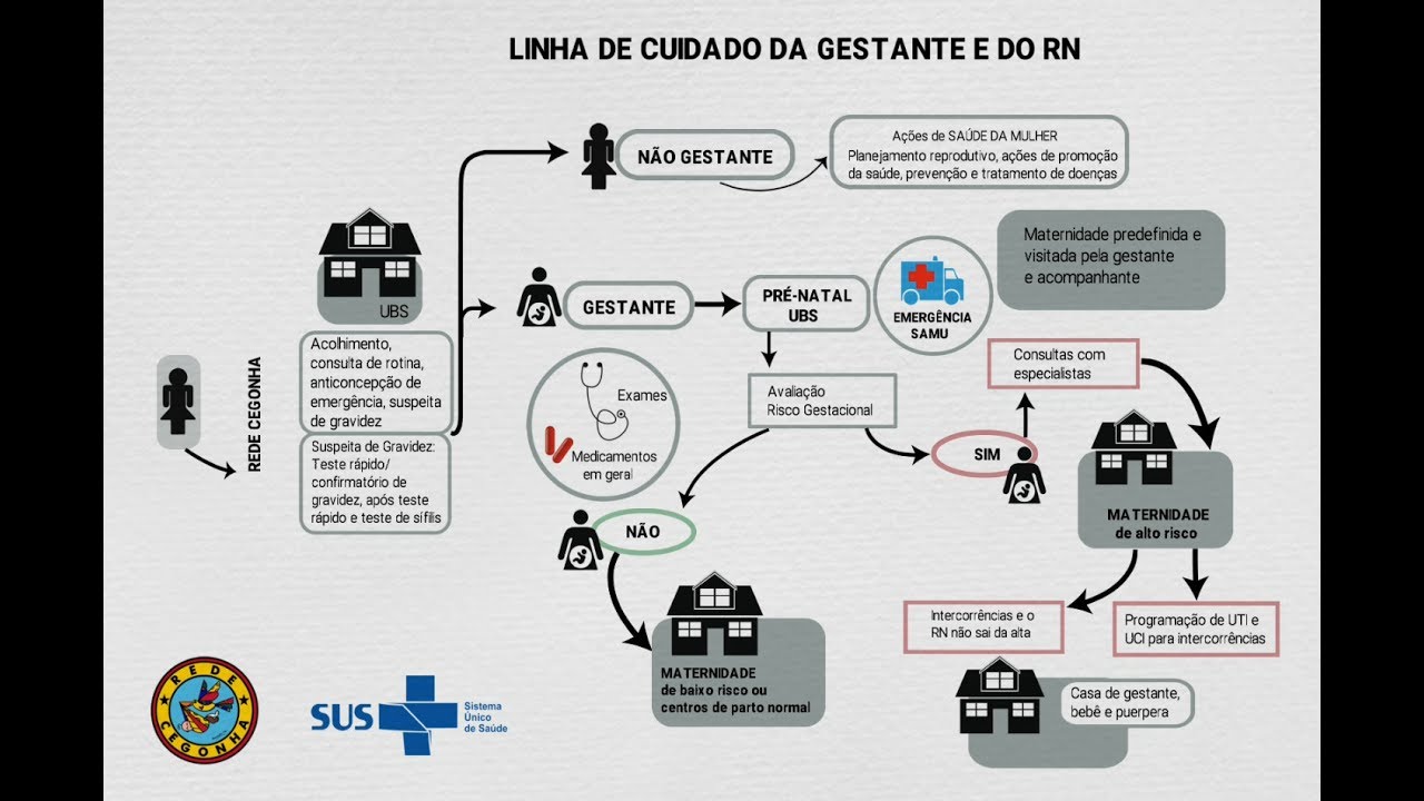 Saúde das mulheres - Linha do cuidado da gestante e do RN