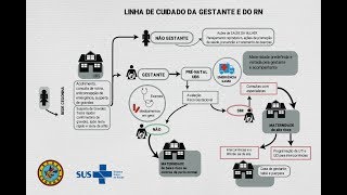 Saúde das mulheres - Linha do cuidado da gestante e do RN
