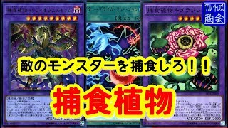 【遊戯王ＡＤＳ】捕食植物【YGOPRO】Predaplant【アルバトロス商会】