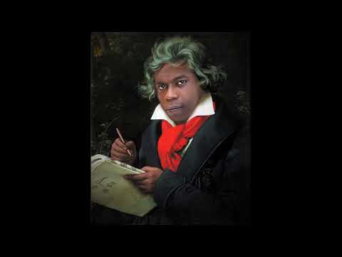 Ludnego van Bamthoven - 5ª Gozada (Nego Bam - Beethoven)