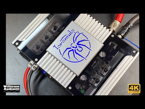 Coolest Looking Budget Amp? Soundstream Tarantula Xtreme TXP1.6000D Amp Dyno Test