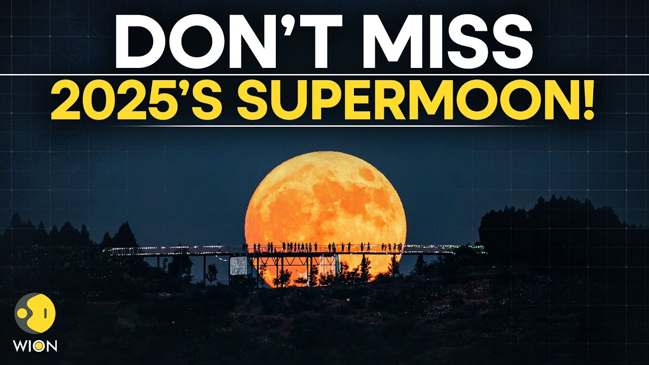 Supermoon 2025: World Gears Up for 2025’s Most Dazzling Moonrise Tonight | Originals