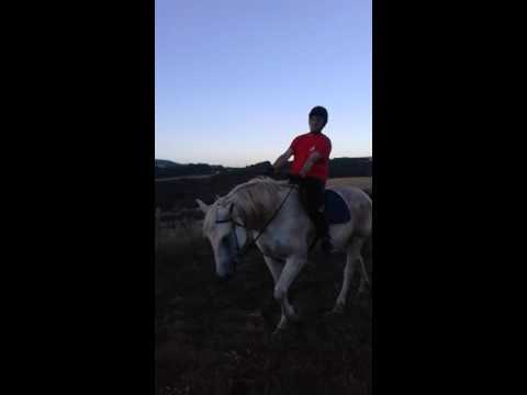 Diretta diventa grande ilaria Pignataro