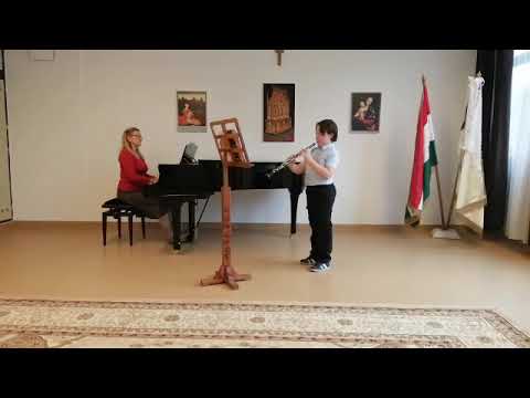 Kiss Róbert videója