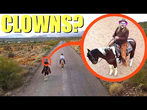 When your drone see's clown cowboys on Horses, do not let them catch you! RUN away FAST!!