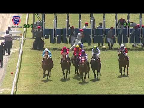 RM26 R1 | Sarah's Secret | P.K.Horil