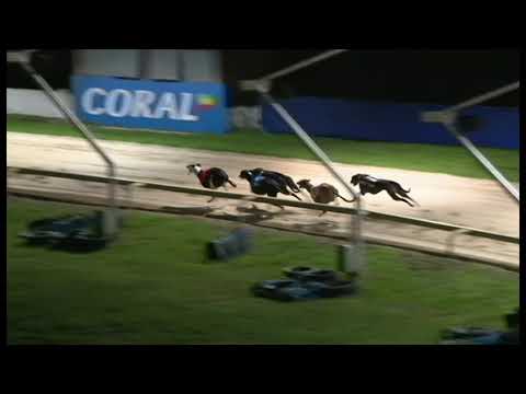 Olympic semi Bockos Doomie