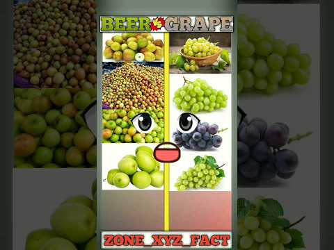 ber vs grape❓|| #shorts #ytshorts #facts #viral #comparison_facts @zone_xyz_fact