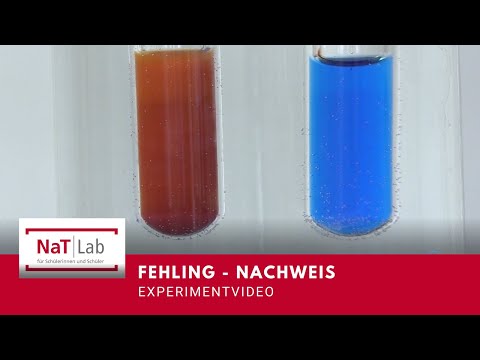 Die Fehling-Probe – Experiment für den Unterricht Chemie