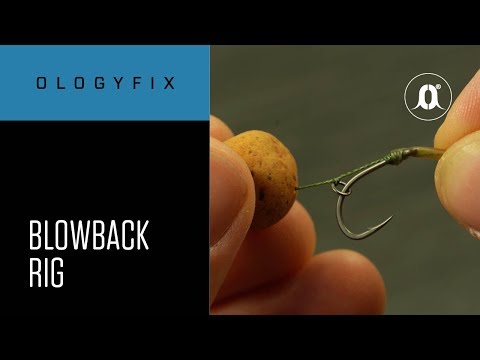 CARPologyTV | How to tie a Blowback Rig