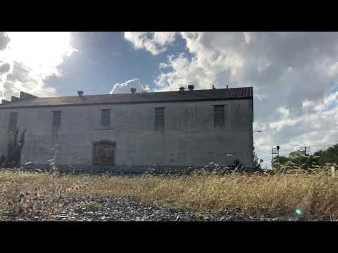 CN L588 in Ashley, IL (4k 60 fps)