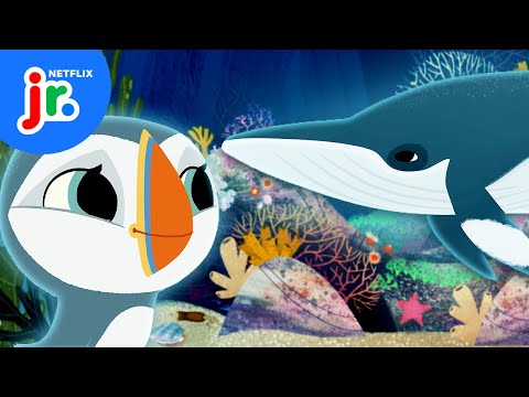 Oona and Silky’s Baby Whale Rescue Mission 🐋 Puffin Rock | Netflix Jr