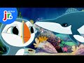 Oona And Silky S Baby Whale Rescue Mission Puffin Rock Netflix Jr