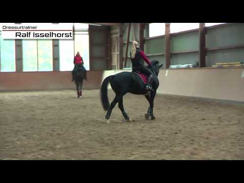 www.dressurtrainer-isselhorst.de - #Dressurtraining# Das Einreiten, die Visitenkarte der Prüfung