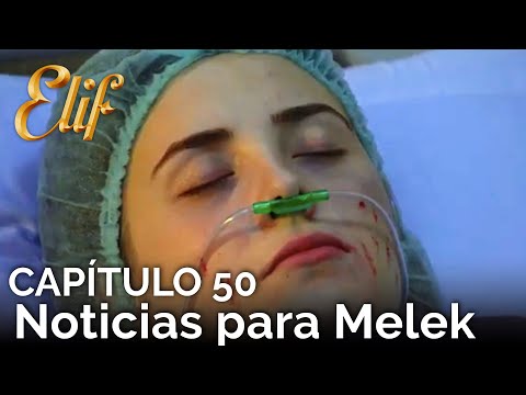 Elif Chapter 50 | News for Melek