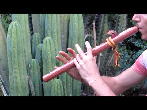 Sparrow Hawk "A" Cedar