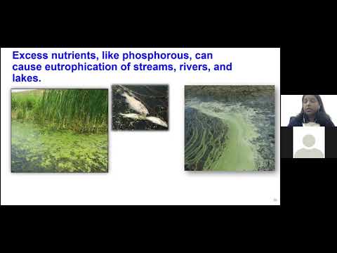 Virtual Café Sci: Phosphates and Pittsburgh’s Streams