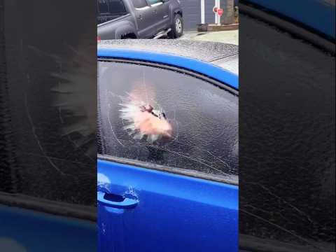 What Happens If You Force a Frozen Car Door Open ?