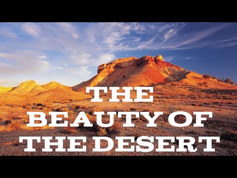 The beauty of the desert...#AQSARA
