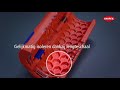 Vamzdžiapjovė Knipex 902201SB; 100 mm