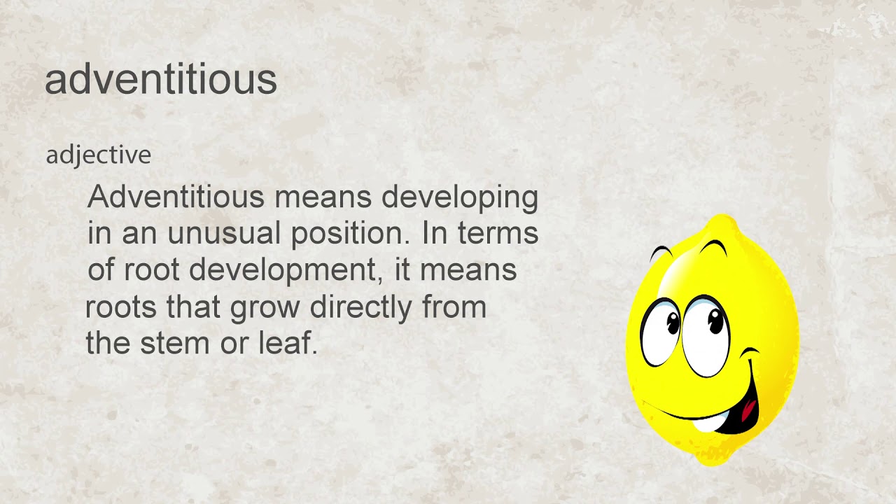 Plant Structures and Functions - YouTube