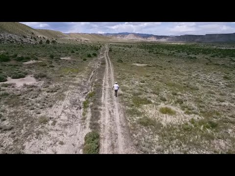 DJ DX - Run Bro ft. Nadia Gold (Official Video)