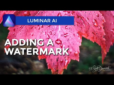 YouTube video about Guide to Creating a Watermark in Luminar