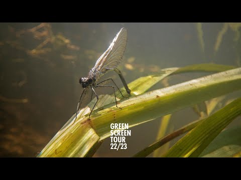 Green Screen Tour 22/23 - WAVES BENEATH THE WATER - SECRETS OF THE FRESHWATER REVEALED - Trailer