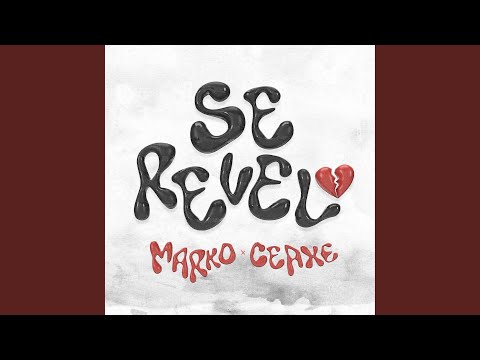 SE REVELÓ