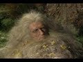 Rip Van Winkle Shelley Duvall S Faerie Tale Theatre