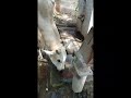 Bezubaan Ki Seva Karo