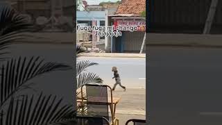 Hermano cayó la ley