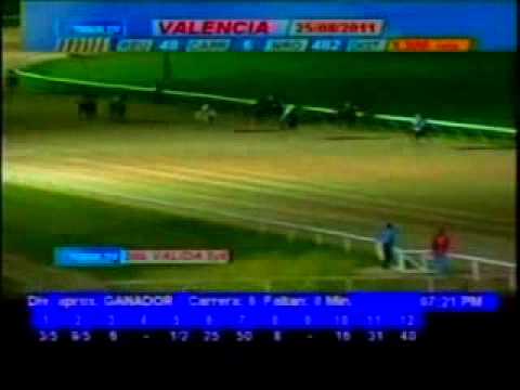 Resumen Jueves, 25 de Agosto de 2011 - Valencia