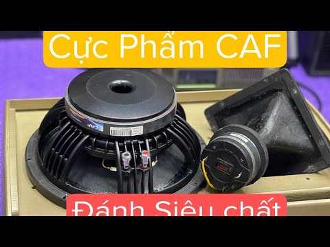 Loa Caf TW12 Cực Chất !