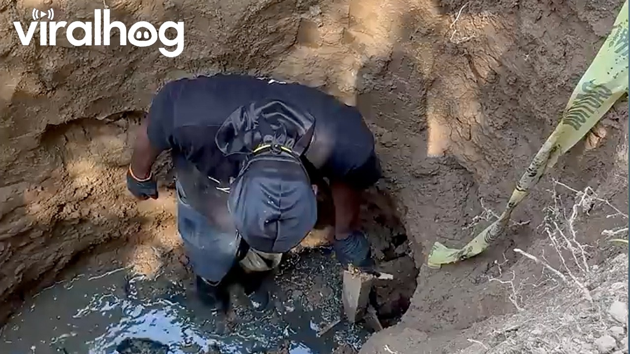 New Guy Unclogs a Drain Pipe || ViralHog