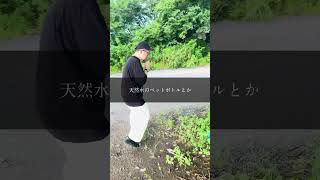 人生の岐路に立たされた時にどちらを選ぶか　#shorts #何かしらの代表 #デニーロ #人生は選択の連続 #人生 #成功