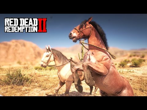Traveling to Taming Horses - Taming many horses - Red Dead Redemption 2