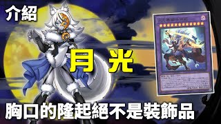[ 遊戲王 ] 獸娘歸位，月光從動畫粉牌到世界亞軍 Lunalight