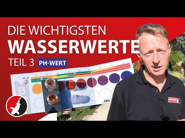 Vidéo teaser pour Die wichtigsten Wasserwerte im Gartenteich - Teil 3: PH!