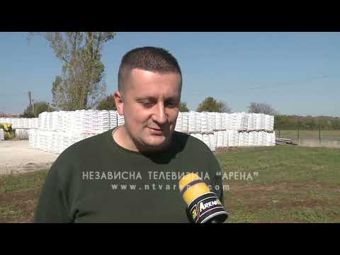 Najezda smrdibuba u jesen