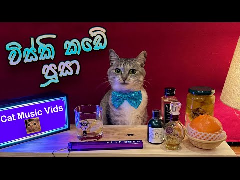 Visky Kade Pusa ( Bandu Samarasinghe ) | විස්කි කඩේ පූසා | Cat Music Video