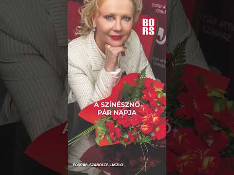 Megszólalt Hevér Gábor: Eszenyi Enikőnek férfi áldozatai is voltak! #bors #eszenyieniko #hevergabor