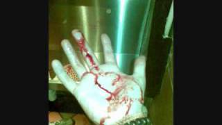 Animals That Swim - Pink Carnations