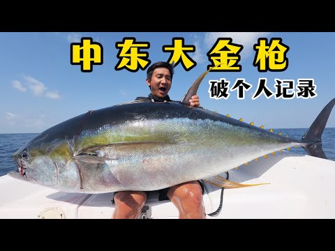 满海的大金枪，随便上一条都破我个人记录/退潮后，还能抓到紫色的大青蟹，光钳子都有我手掌宽！ #赶海 #海钓 #钓金枪 #大青蟹 #大鲸鲨 #牛鼻鲼 #无人岛 #阿曼 #马西拉岛