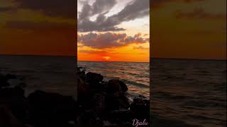Download lagu #ombak #senja #sunset #pantai #shorts mp3